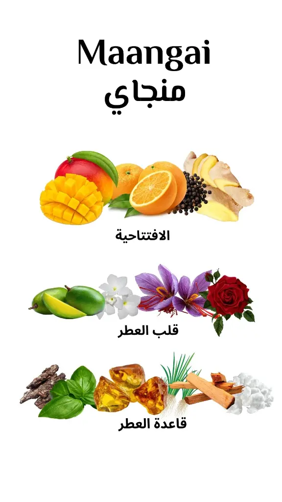 image0.webp