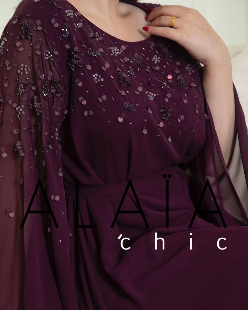 Alaia Chic Dress