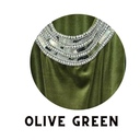 Nova Collection Dress with Under Dress