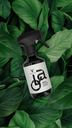 OVA "V" Home Spray 
