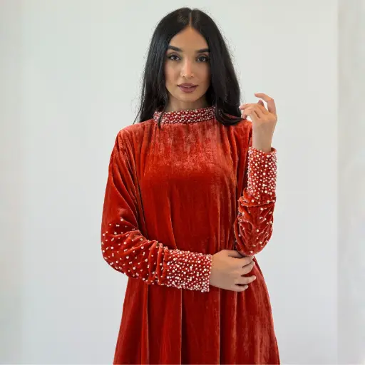 Twinchic Fashion Dress 